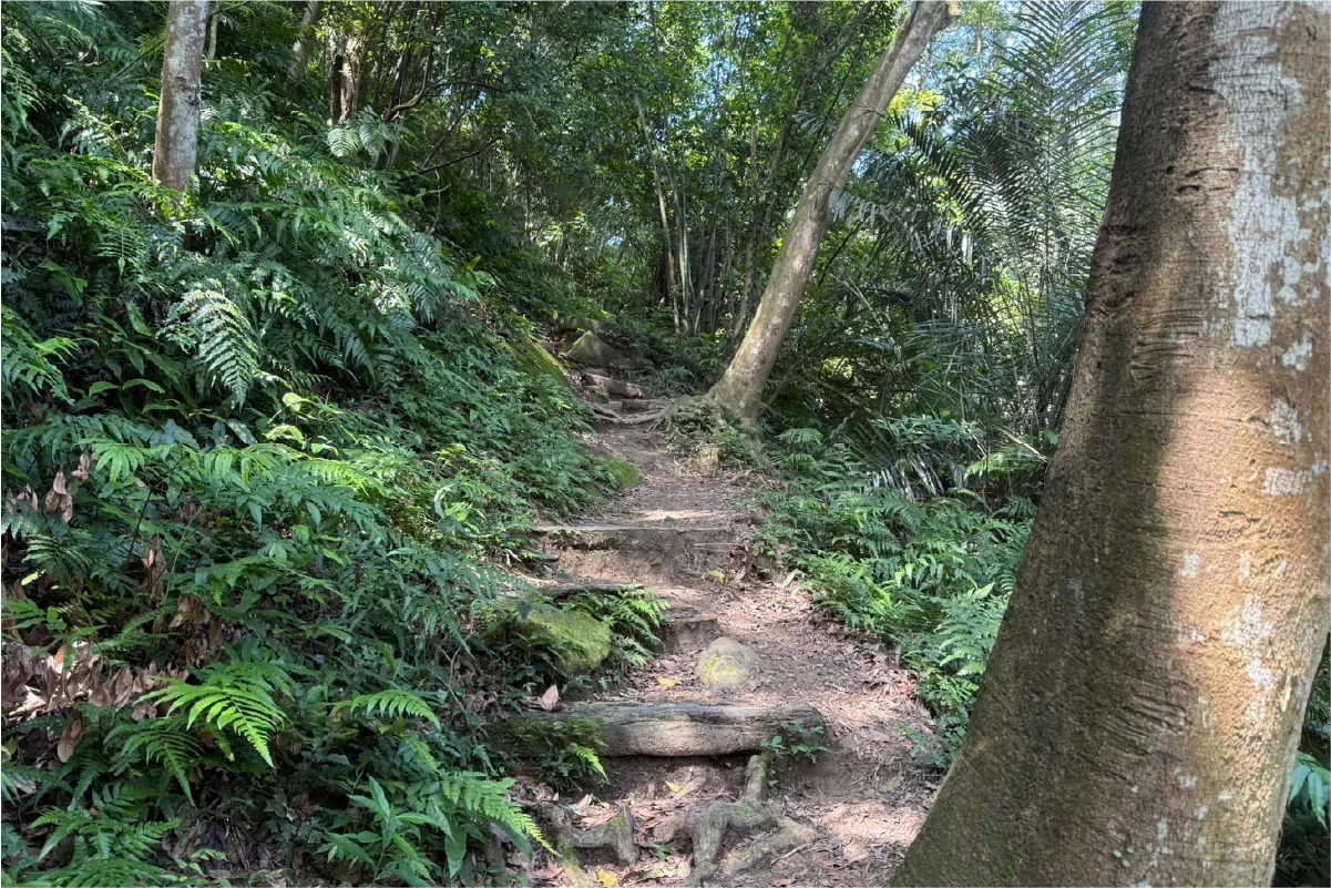 五寮尖山徑