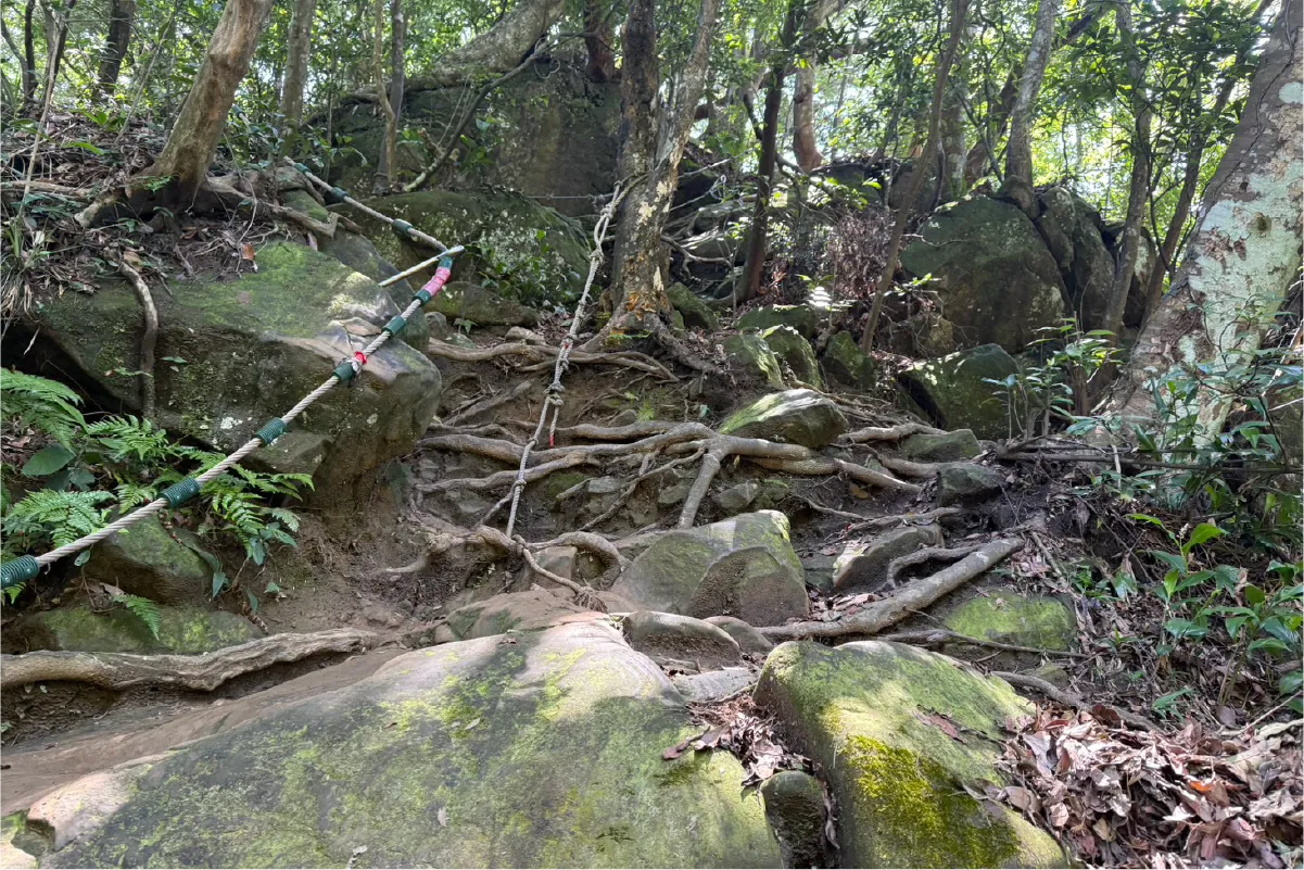 五寮尖拉繩路段 需要手腳並用