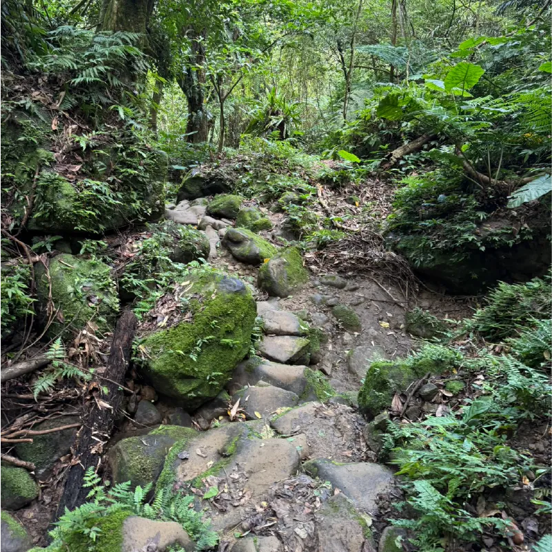 五寮尖下山路徑