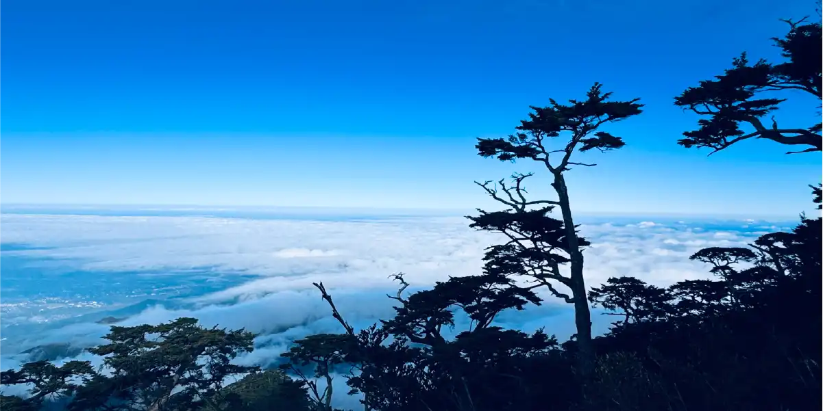 北大武山展望