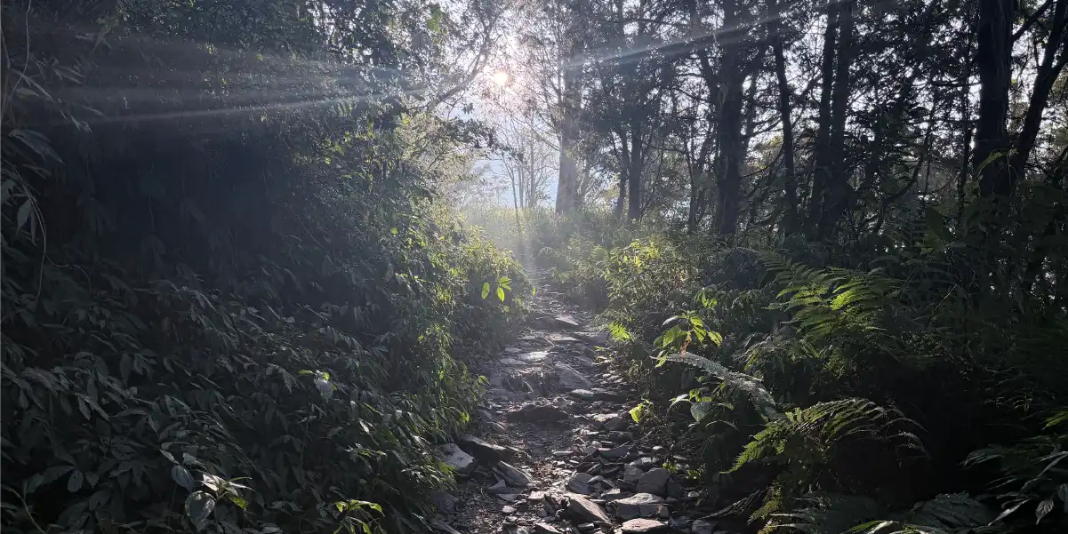 北大武山山徑