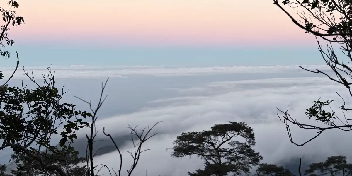北大武山展望
