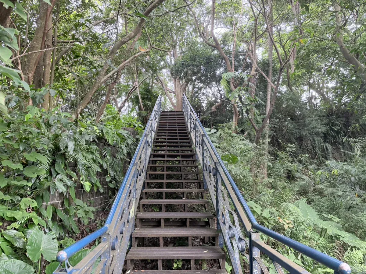 和美山綠線親山步道連續上坡木階梯,兩側藍色欄杆