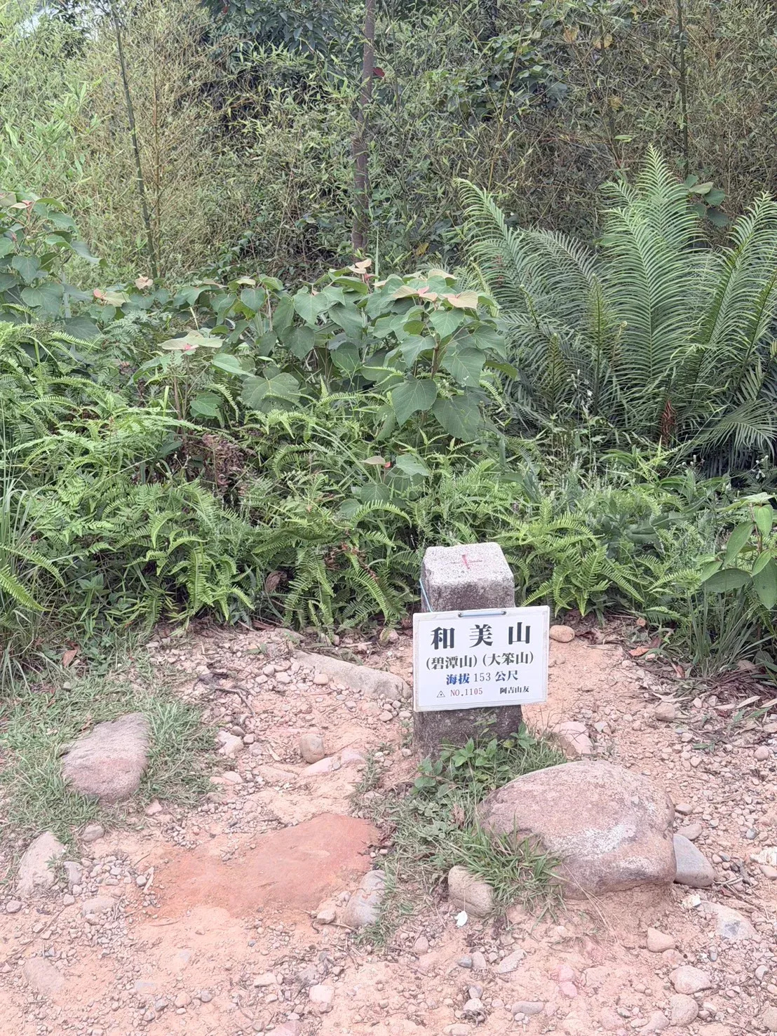 和美山山頂三角點基石與標示牌,寫明海拔 153 公尺
