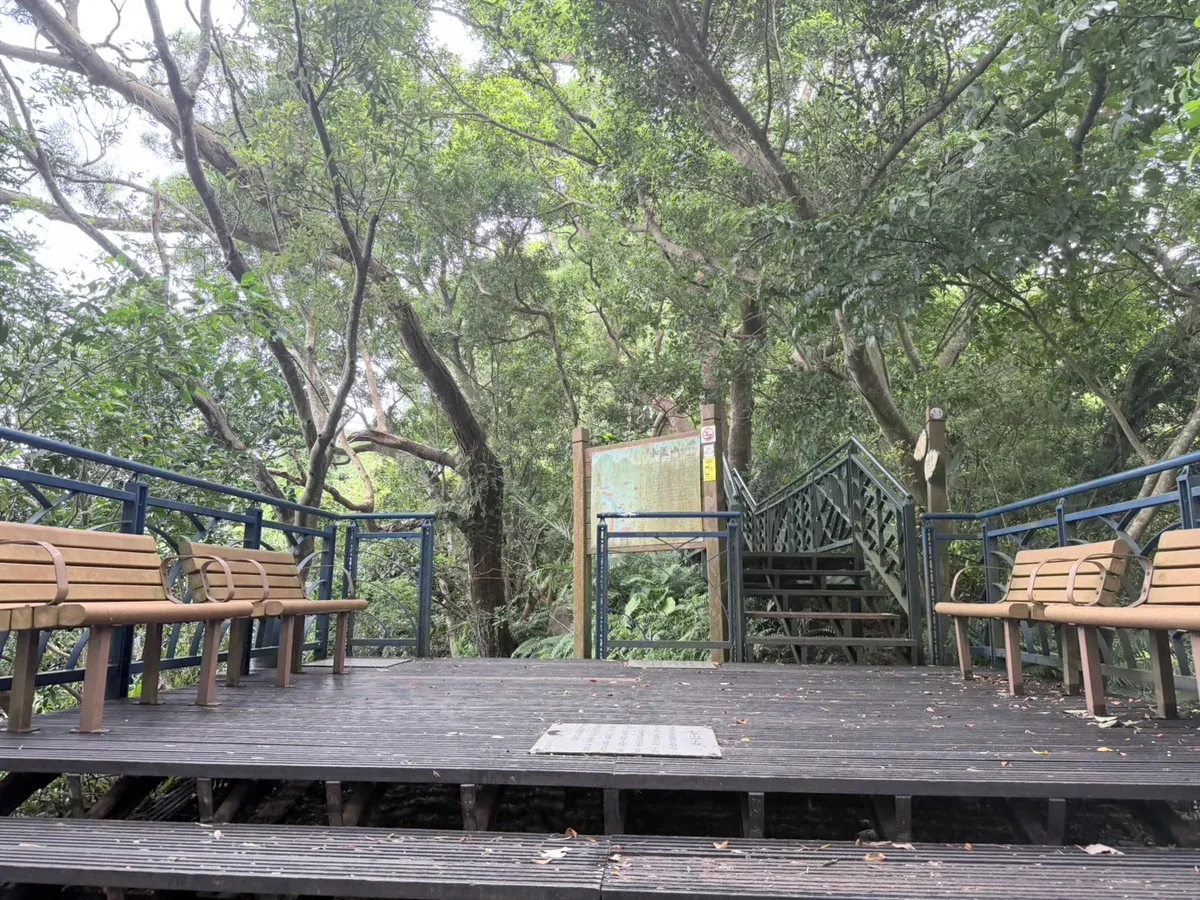 和美山步道途中的木棧休息平台,設有長椅與步道解說牌