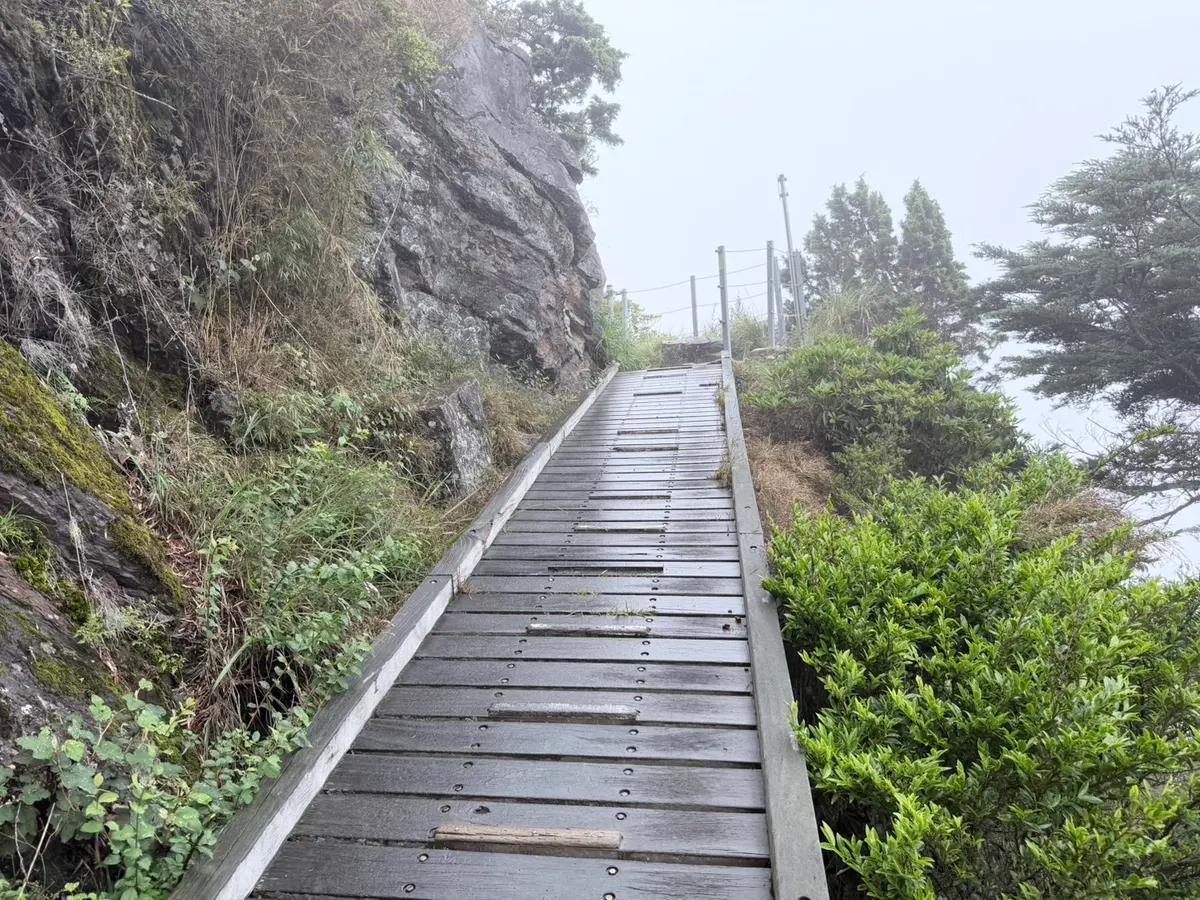 玉山步道的木棧橋橫渡路段,左側是岩壁、右側臨空,雨後棧板反光
