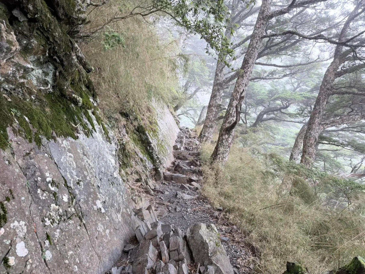 玉山步道的橫切路段,左側岩壁緊貼步道,路面是鬆散的碎石,霧氣籠罩