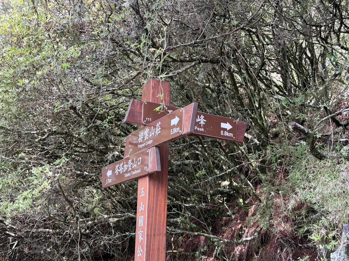 玉山步道的木製路標,指向排雲山莊、前峰與玉山登山口並標示距離