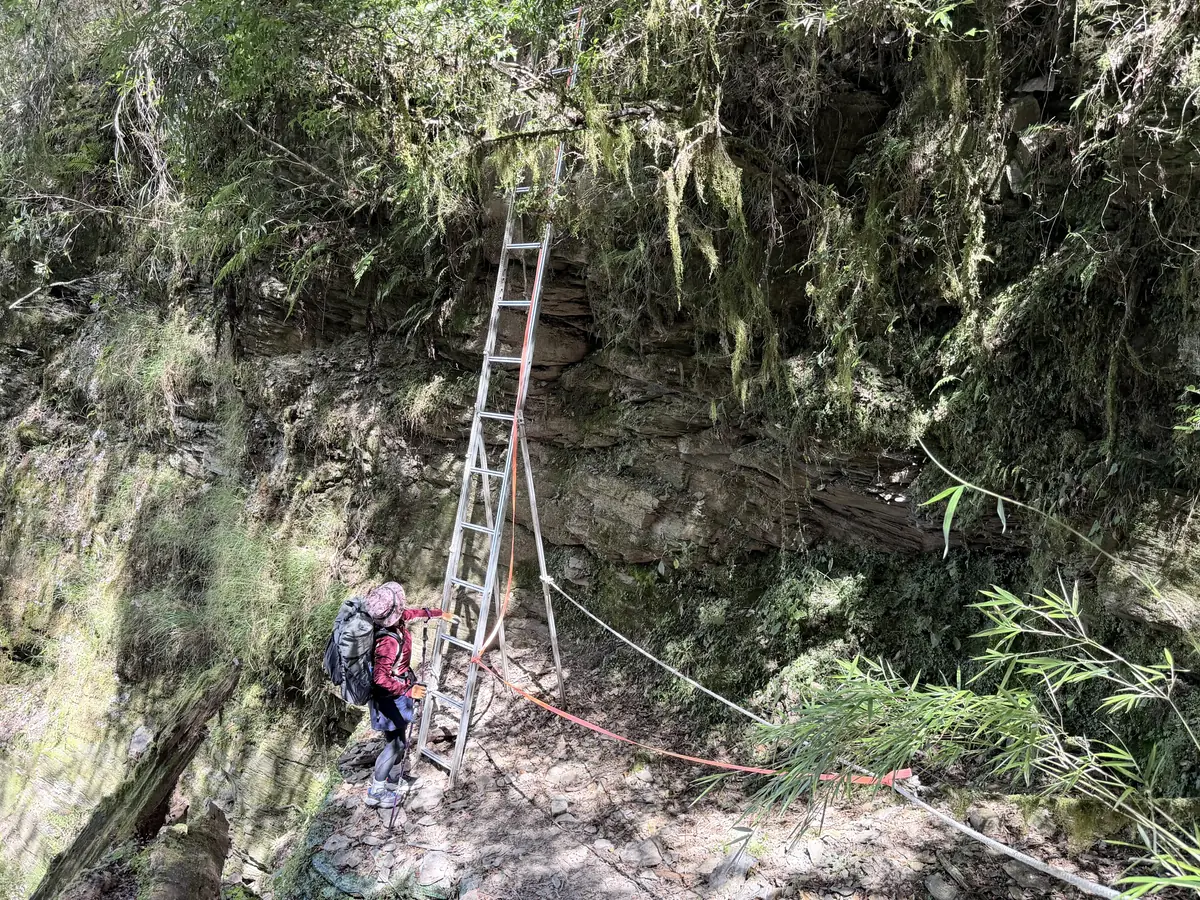 820 林道 5.3K 崩塌處架設的鋁梯，旁邊拉著繩子，一名登山者正準備往上爬