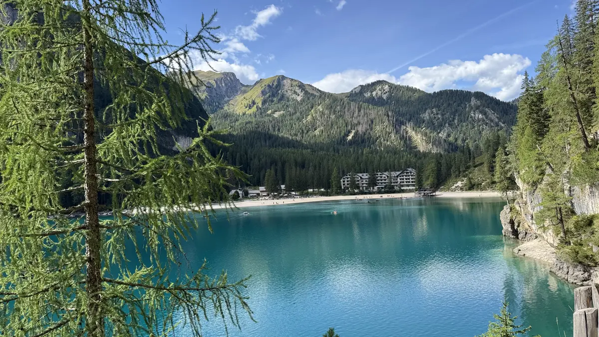 從布萊埃斯湖東岸高處往北看，前景是落葉松，湖面呈翡翠色，對岸是湖灘與飯店