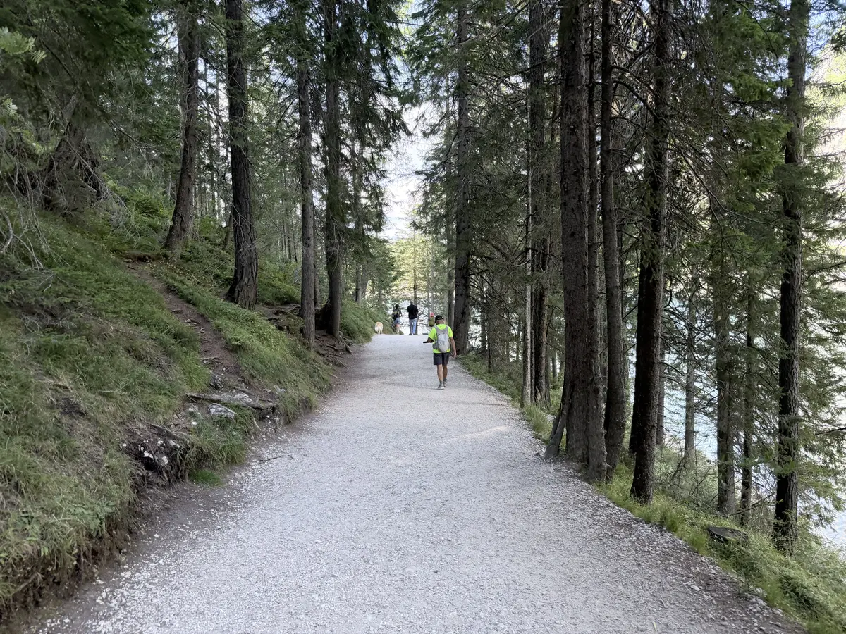 布萊埃斯湖西岸寬闊平坦的碎石林道，兩旁是高大的松樹，右側透出湖面