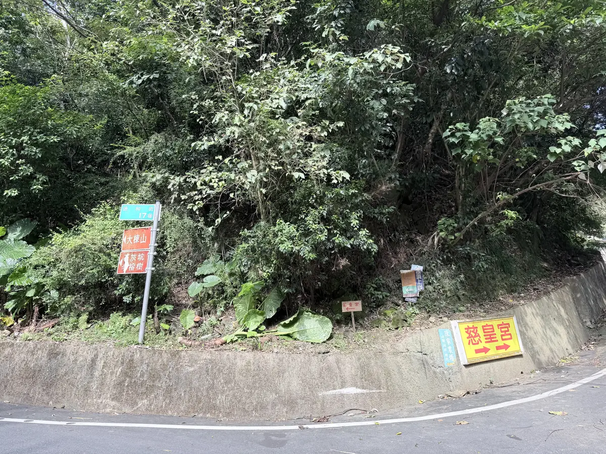 山佳往大榕樹的產業道路轉角，水泥護牆上掛著黃色的慈皇宮指標，旁邊立著往大棟山的路牌