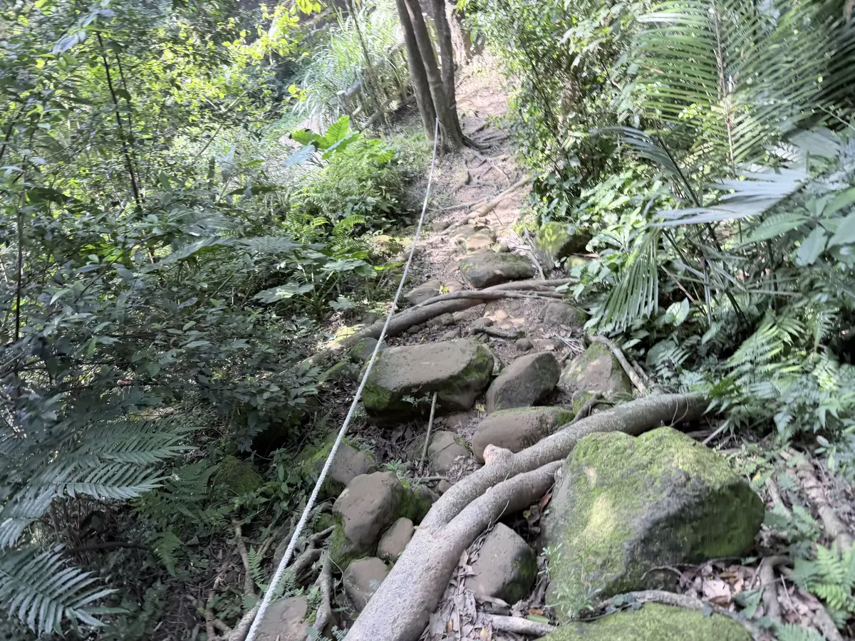 長滿青苔的石塊下坡路，旁邊拉著一條白色繩子可以扶