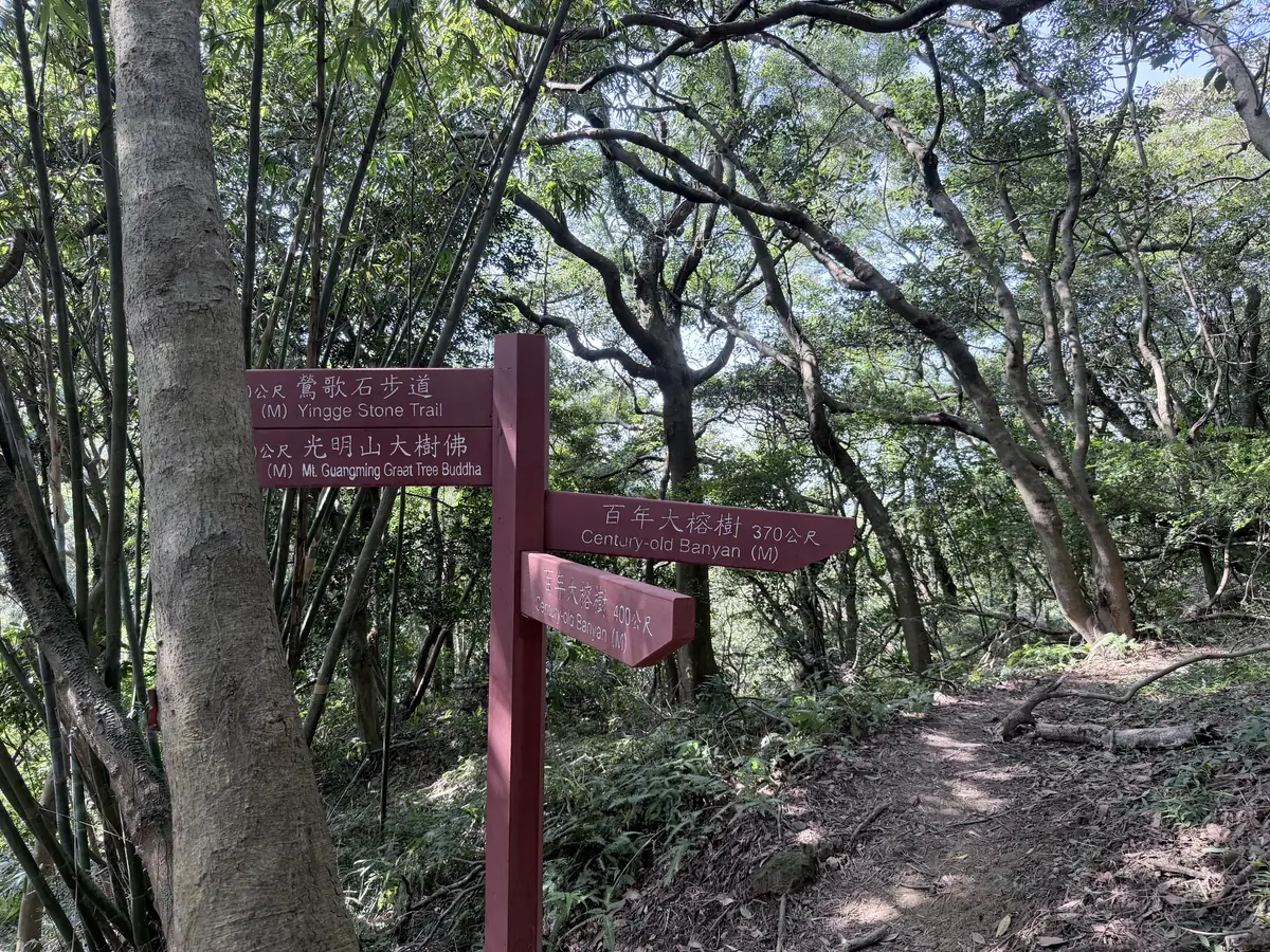土路上的紅色木製指標，往回指百年大榕樹 370 公尺，往前指鶯歌石步道和光明山大樹佛