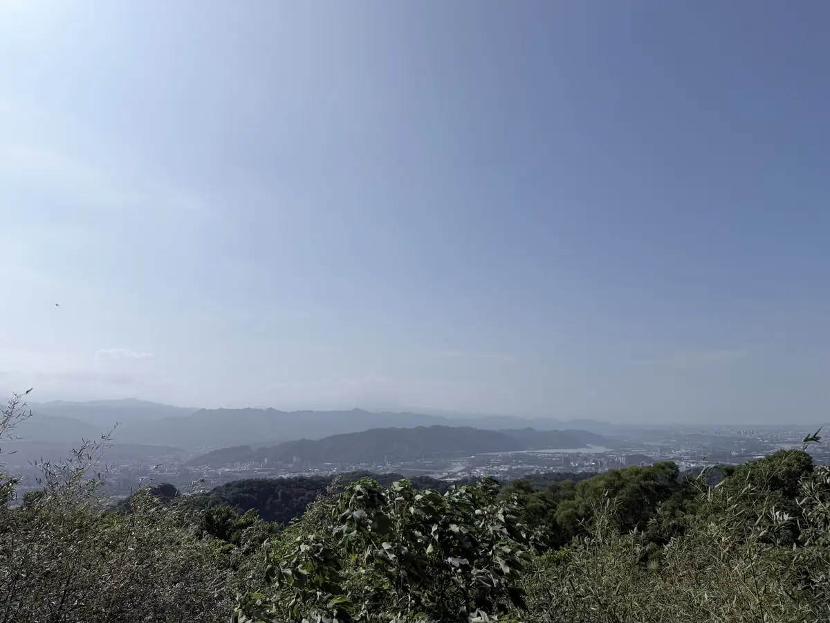從觀景平台往外看，近處是一片樹林，遠處是山下的城鎮和連綿的山，天空有點霧