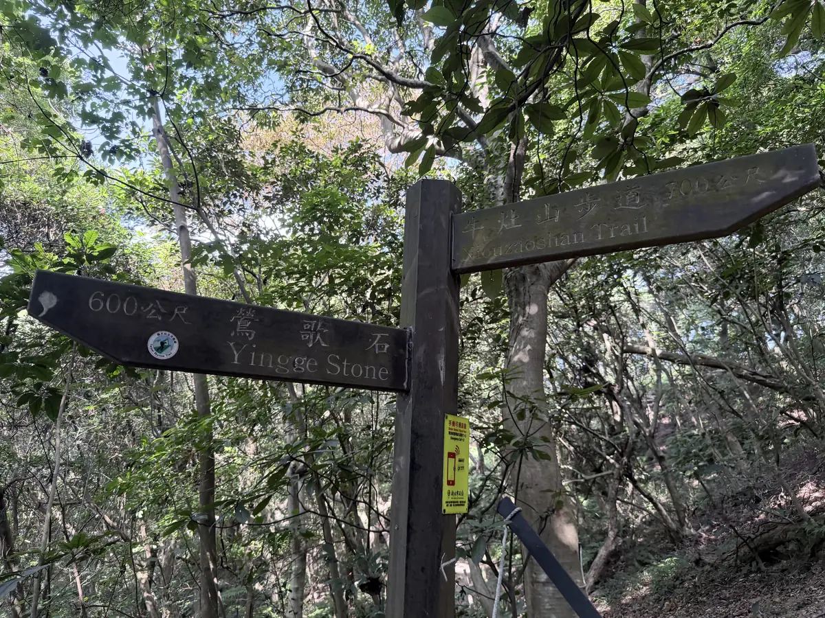 樹林裡的木製指標，一邊寫鶯歌石 600 公尺，另一邊寫牛灶山步道 700 公尺