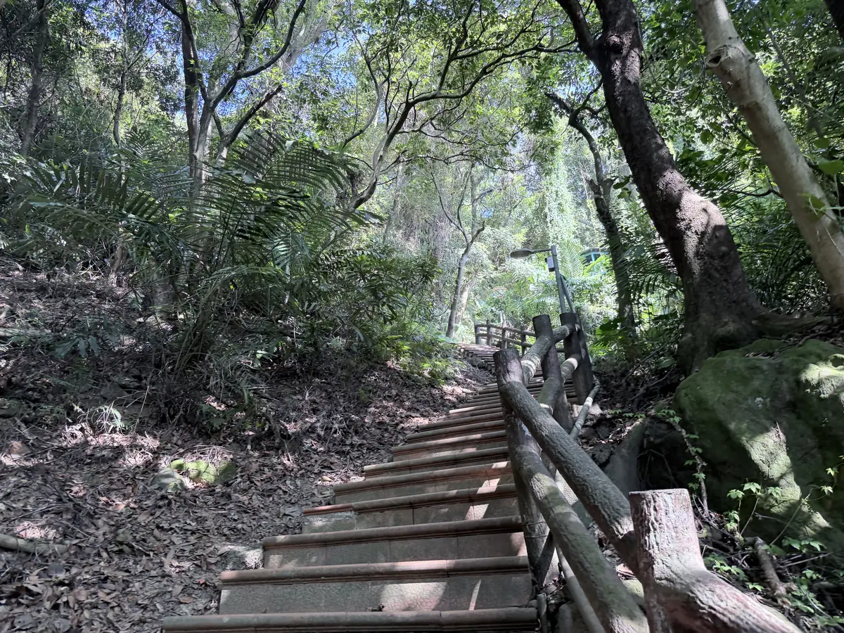 北鶯公園往鶯歌石的木樁階梯，一側有仿木欄杆，兩旁都是樹林