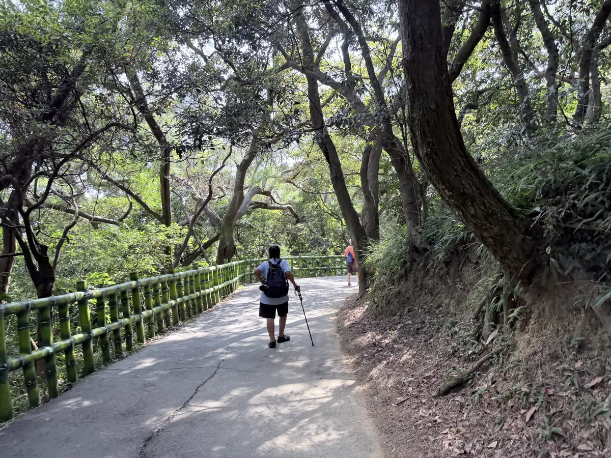 孫龍步道的水泥路段，一位拄著登山杖的健行者走在樹蔭下