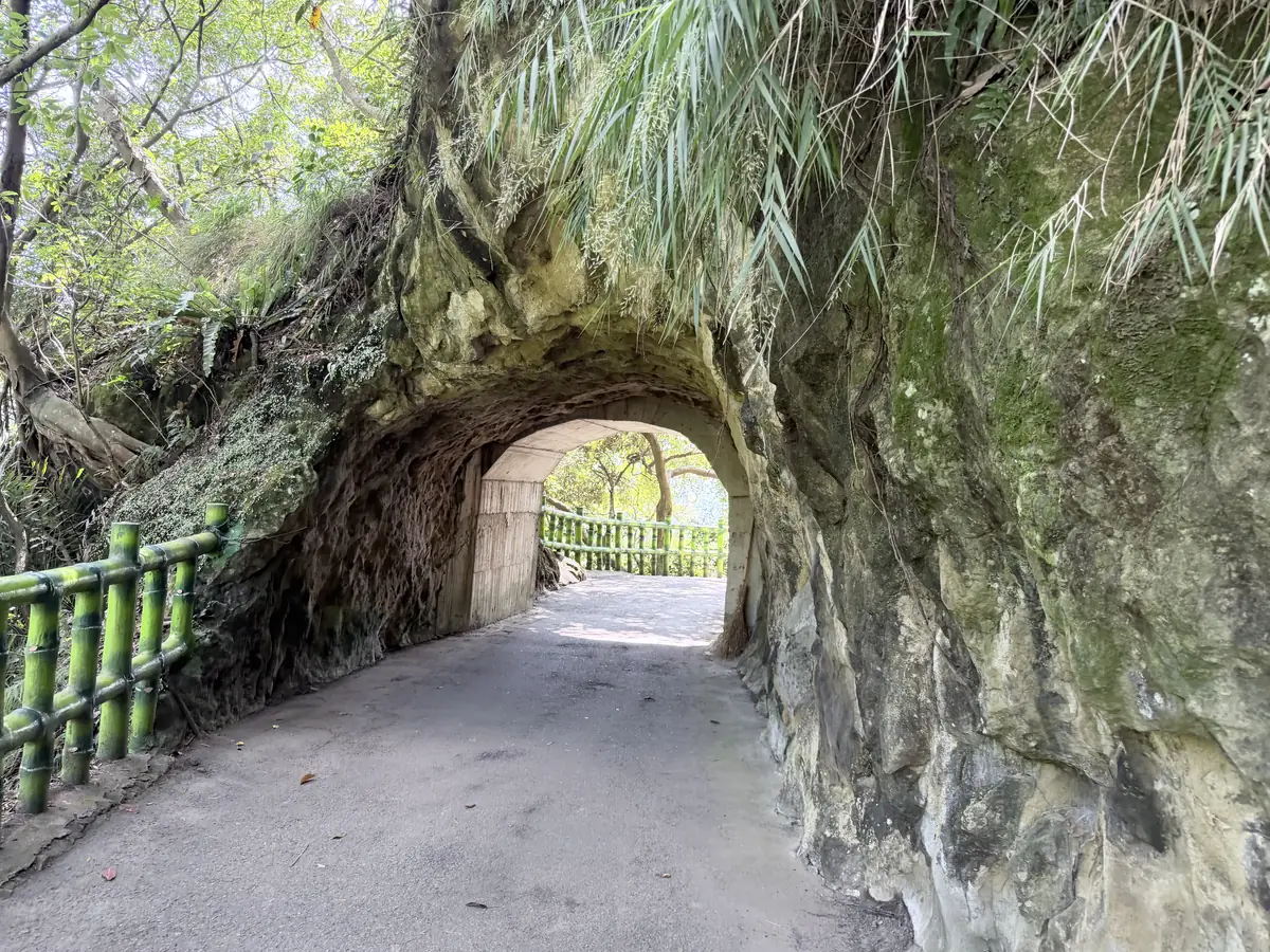 二坑隧道的入口，岩壁上長滿蕨類，隧道另一頭透著光，旁邊有綠色仿竹欄杆