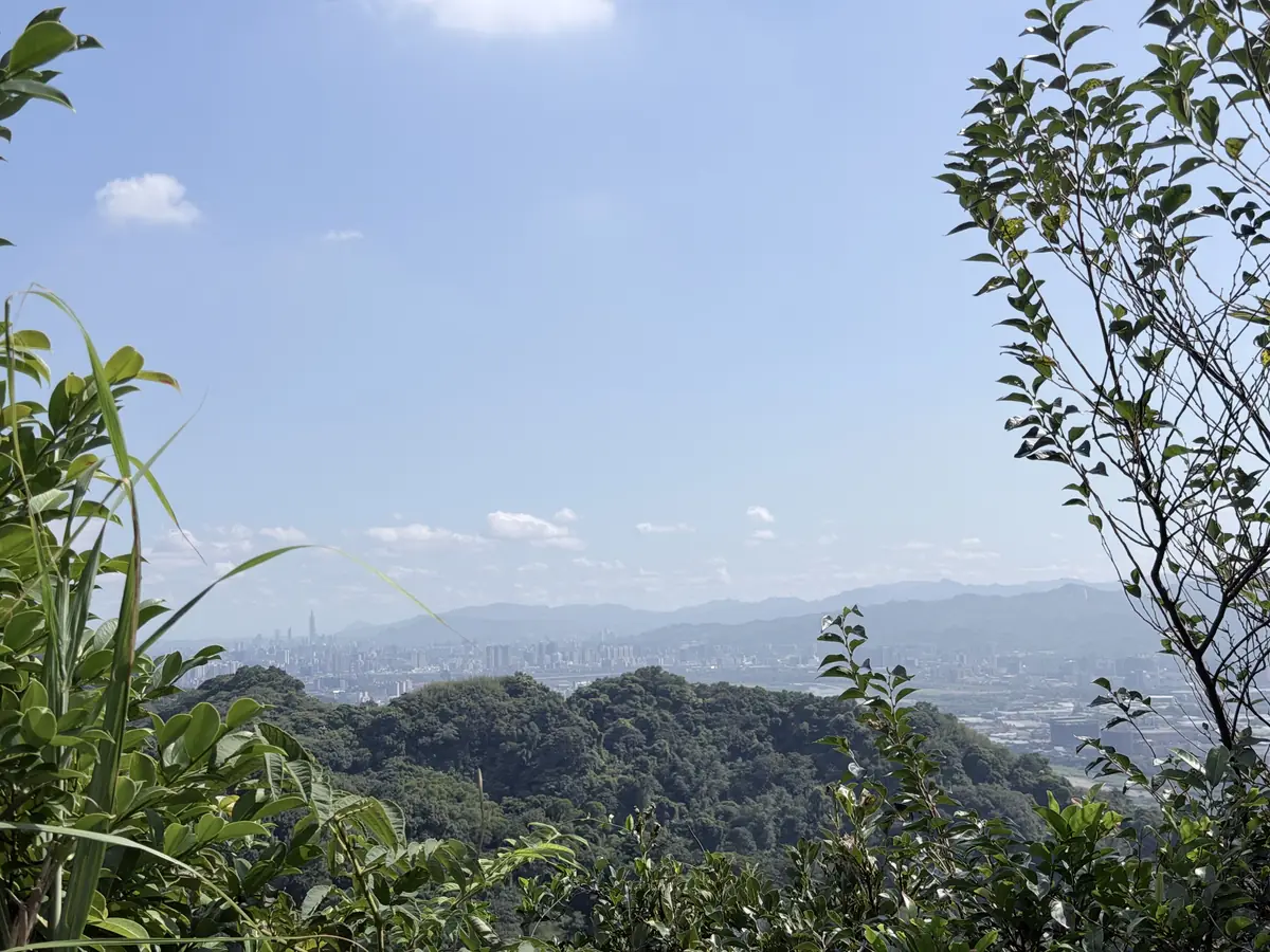 從牛灶坑山旁的樹林缺口往外看，遠方的城市天際線裡可以看到台北 101