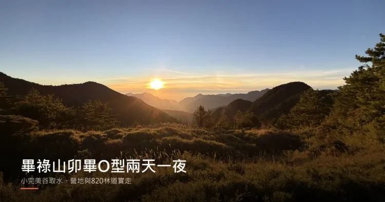 畢祿山小完美谷日出平台的清晨，太陽從雲海上方升起，前景是一整片金色箭竹草原